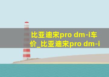 比亚迪宋pro dm-i车价_比亚迪宋pro dm-i